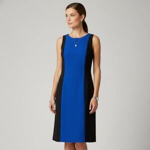 Nipon Boutique Blue & Black Colorblock Knee length Dress (NWT)